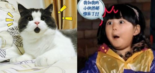 加工齒輪速度太快，小伙伴們驚呆了